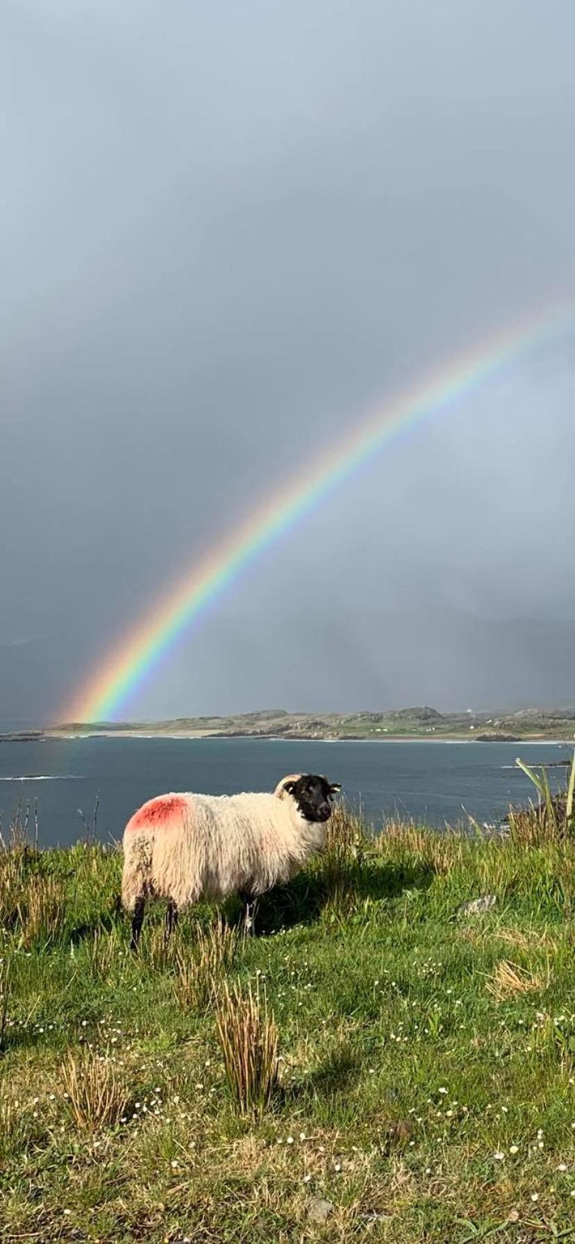 Kylemore House Boutique Apartments - Fishermans Perch Bagian luar foto